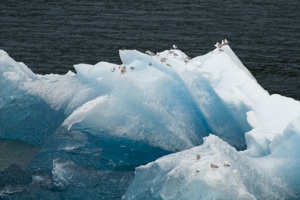 315-9144 Iceberg